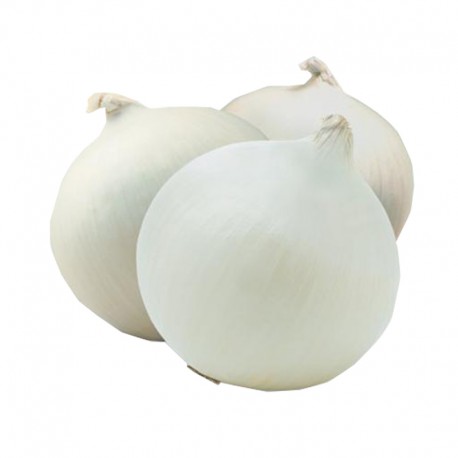 Cebolla 1 kg. Cebolla 1 kg.