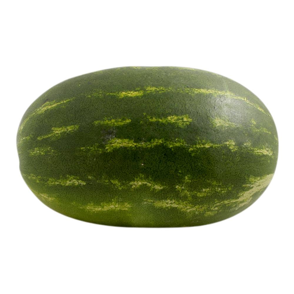 Sandia 1 Pz. Sandia 1 Pz.
