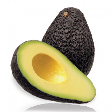 Aguacate 1 Kg. Aguacate 1 Kg.