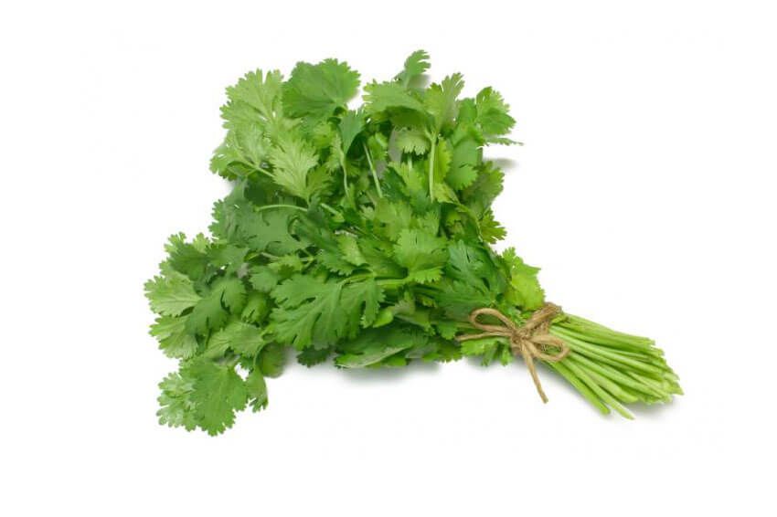 Cilantro 1 manojo. Cilantro 1 manojo.