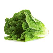 Lechuga Orejona 1pz Lechuga Orejona 1pz